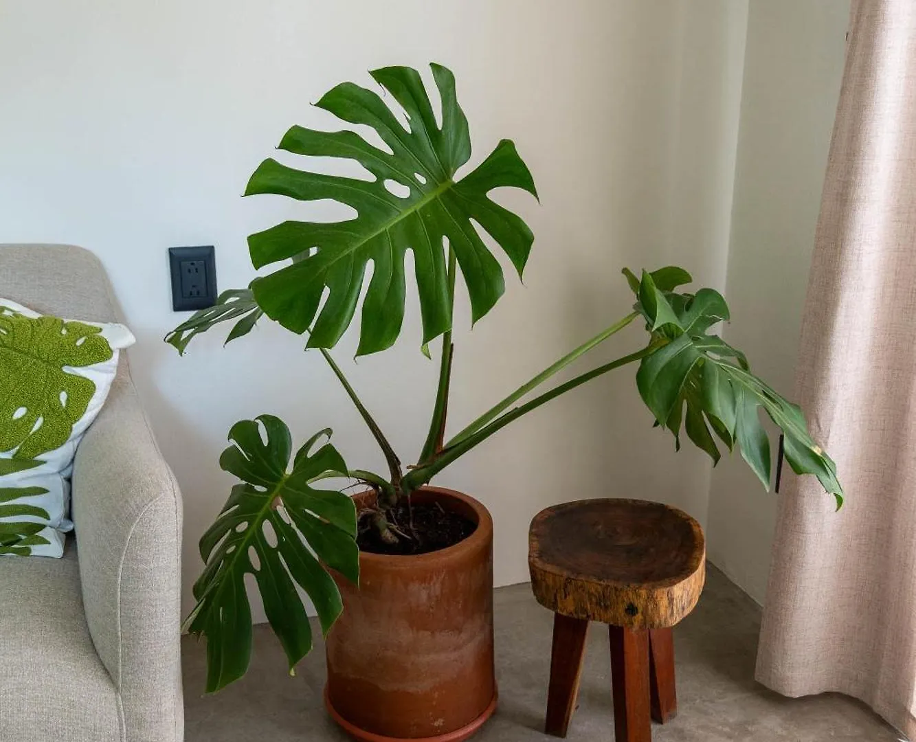 Casa Guapita Hotel Playa del Carmen Guest house