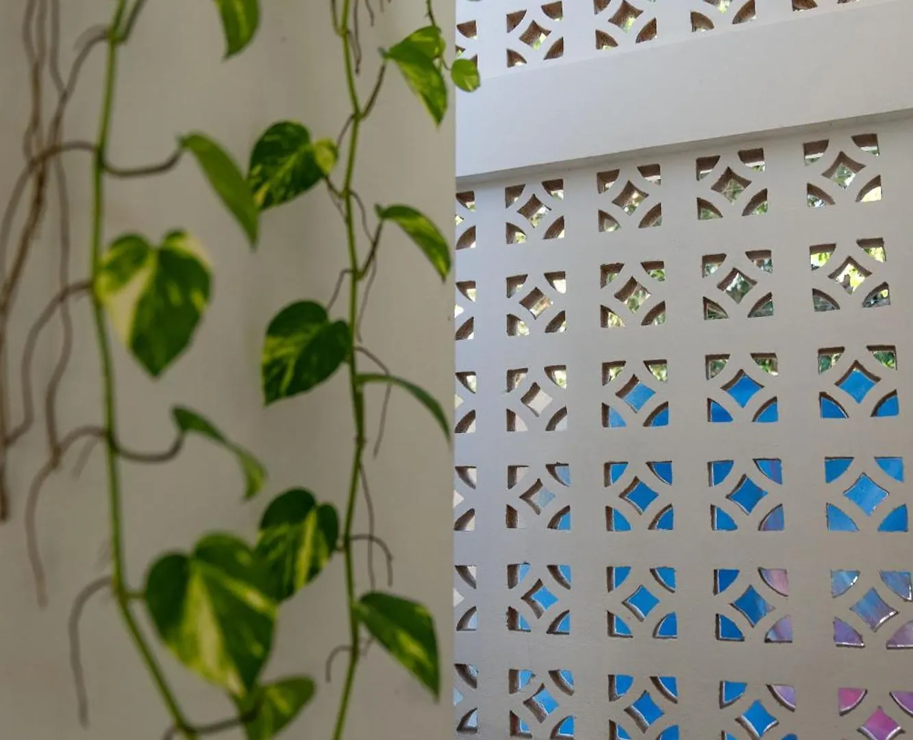 Casa Guapita Hotel Playa del Carmen Guest house