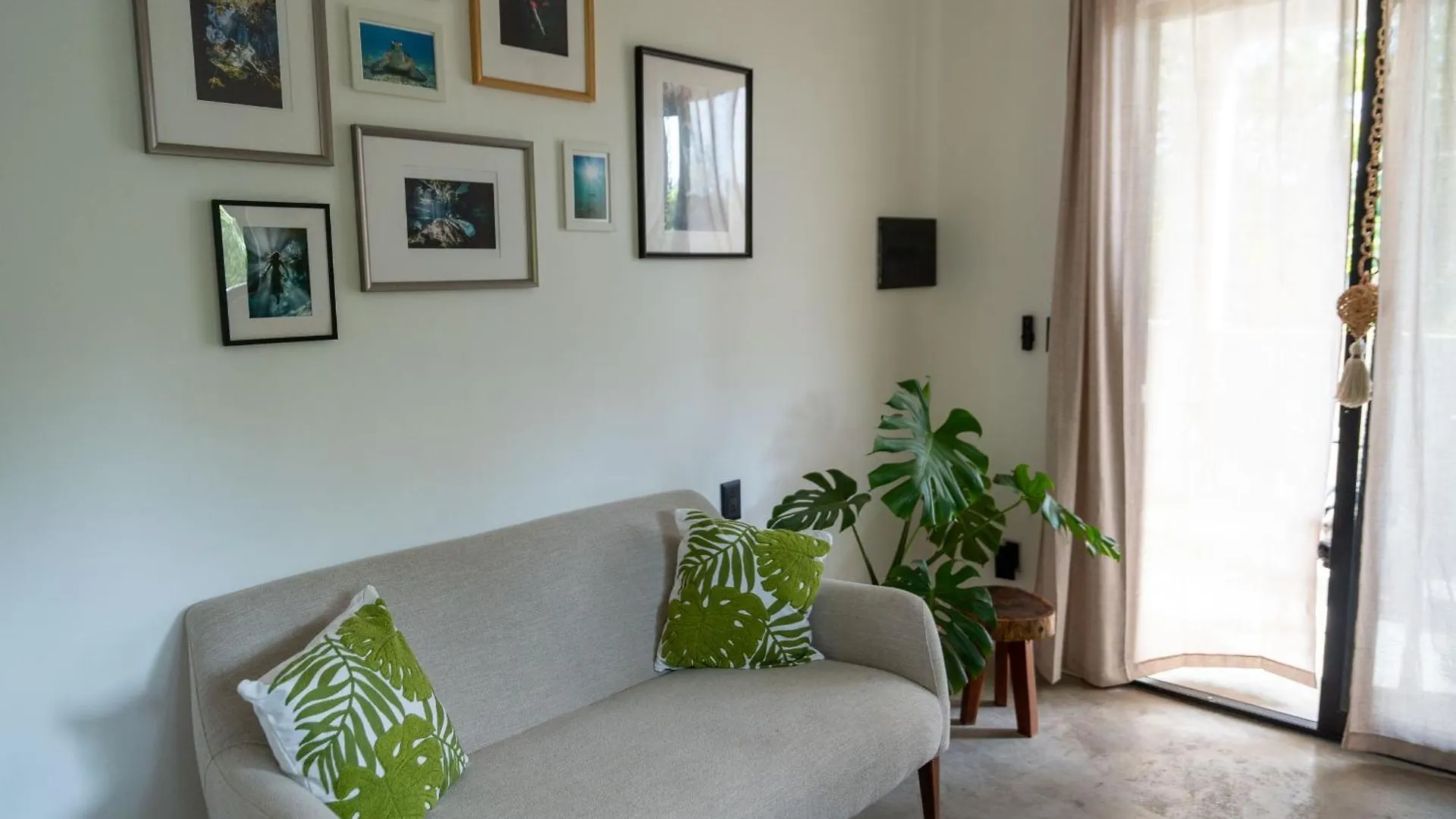 Πανσιόν Casa Guapita Ξενοδοχείο Πλάγια Ντελ Κάρμεν