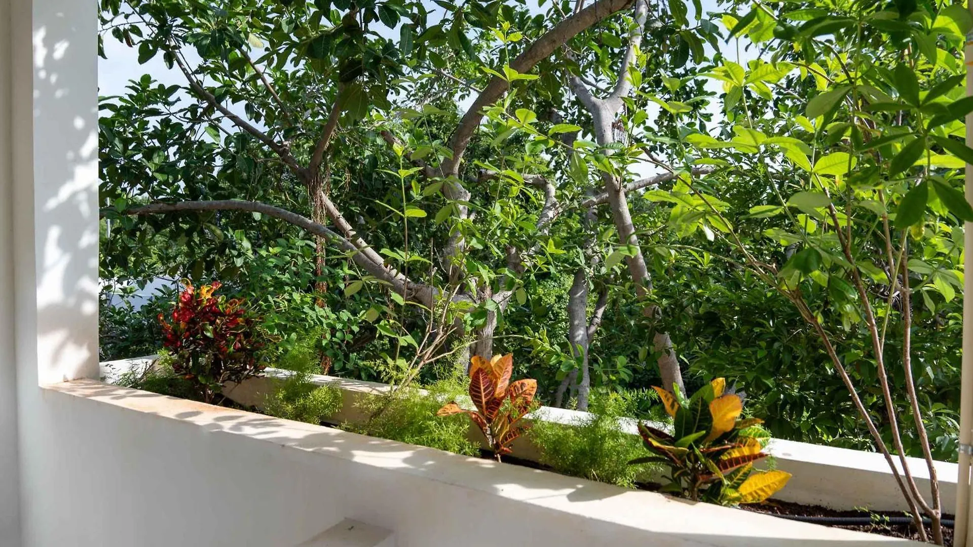 Casa Guapita Ξενοδοχείο Πλάγια Ντελ Κάρμεν