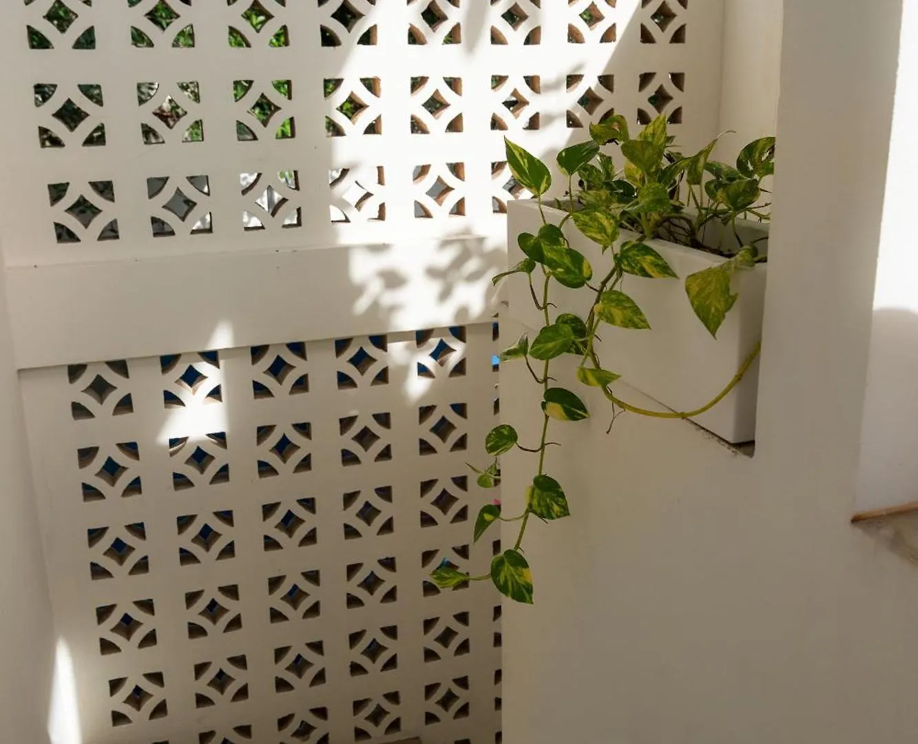 Πανσιόν Casa Guapita Ξενοδοχείο Πλάγια Ντελ Κάρμεν