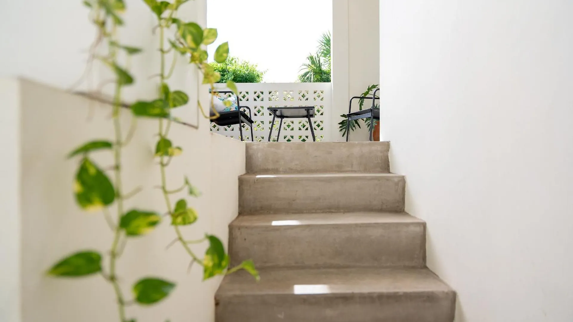 Πανσιόν Casa Guapita Ξενοδοχείο Πλάγια Ντελ Κάρμεν